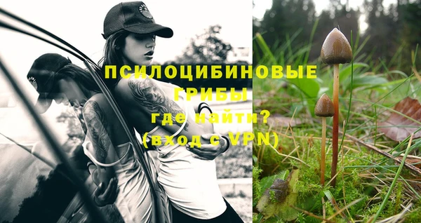 круглые Инсар