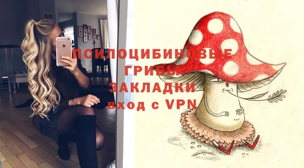 круглые Инсар