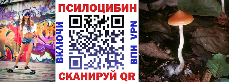Галлюциногенные грибы MAGIC MUSHROOMS  Купить где  Цимлянск 